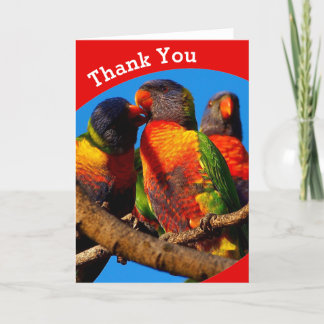 Rainbow Lorikeet blank Thank You card