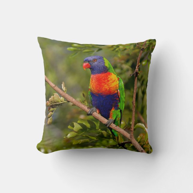 Rainbow Lorikeet Cushion (Front)