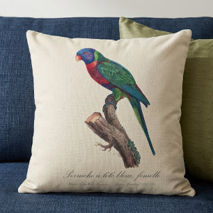 Rainbow lorikeet female, Trichoglossus moluccanus Cushion