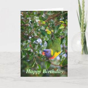 Rainbow Lorikeet Happy Birthday Greeting Card