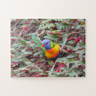 rainbow lorikeet jigsaw puzzle