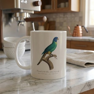 Rainbow lorikeet juvenile Trichoglossus moluccanus Coffee Mug