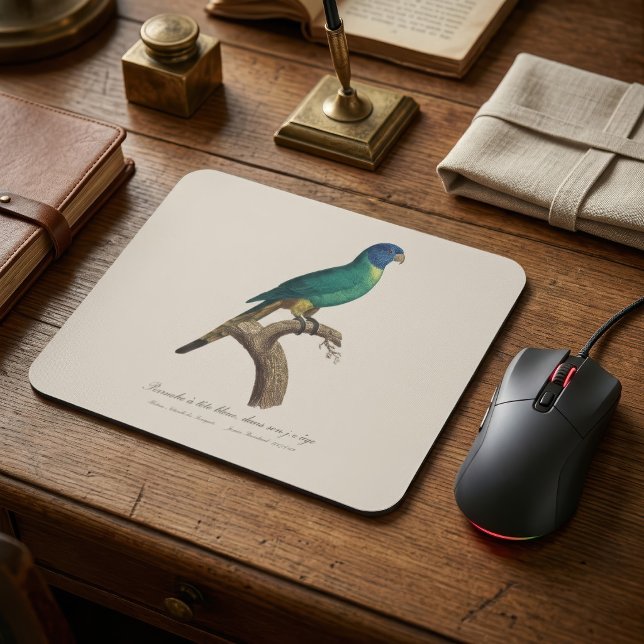Rainbow lorikeet juvenile Trichoglossus moluccanus Mouse Mat (Perruche a tete bleue / Rainbow lorikeet, juvenile. Mouse Pad)