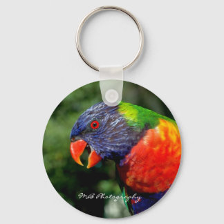 Rainbow Lorikeet Keychain