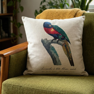 Rainbow Lorikeet Male, Trichoglossus Moluccanus Cushion