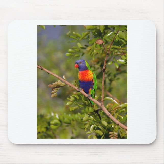 Rainbow lorikeet mouse mat (Front)