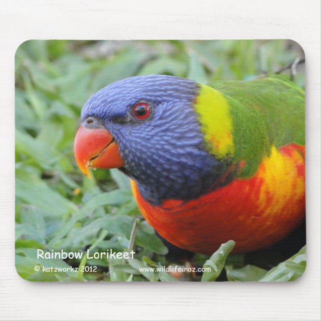 Rainbow Lorikeet Mouse Mat (Front)