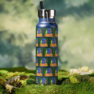 Rainbow Lorikeet Parrot Pattern Water Bottle