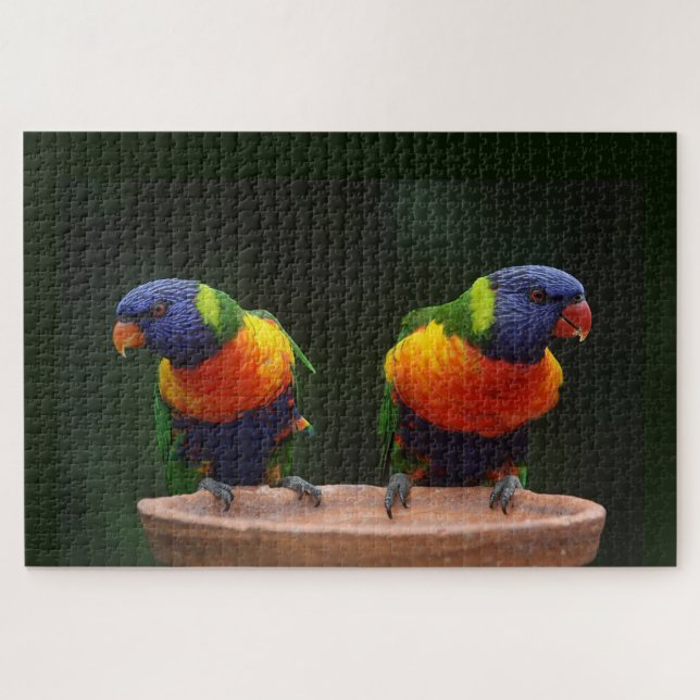 Rainbow Lorikeet Parrots Jigsaw Puzzle (Horizontal)