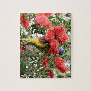 RAINBOW LORIKEET RURAL QUEENSLAND AUSTRALIA JIGSAW PUZZLE