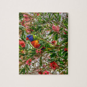RAINBOW LORIKEET RURAL QUEENSLAND AUSTRALIA JIGSAW PUZZLE