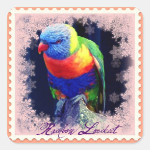 RAINBOW LORIKEET SQUARE STICKER