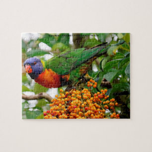 Rainbow Lorikeets Australia Jigsaw Puzzle