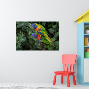 Rainbow Lorikeets, colorful parrots, Poster