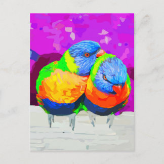 Rainbow Lorikeets Love Birds Couple Postcard