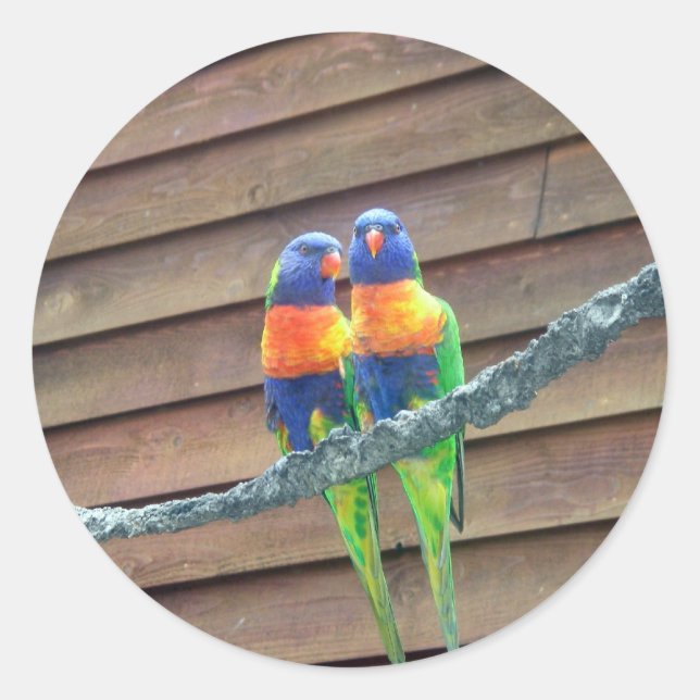 Rainbow Lorikeets Sticker (Front)