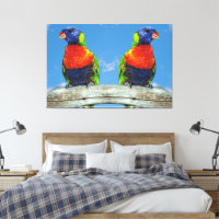 Rainbow lorikeets two perched on a branch