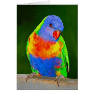 Rainbow Loriket Colourful Parrot Bird Water Colour