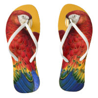 Rainbow Macaw Parrot Lover Bold and Summery