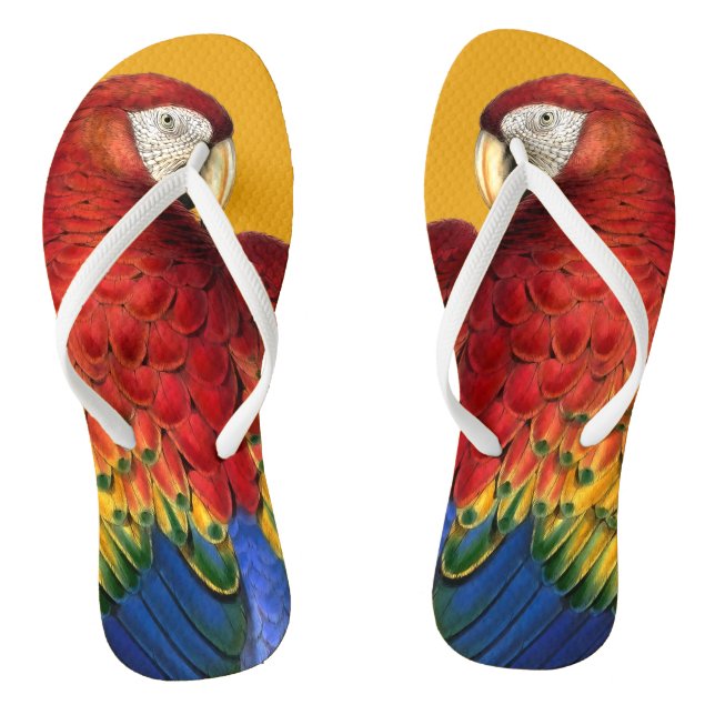 Rainbow Macaw Parrot Lover Bold and Summery Flip Flops (Footbed)