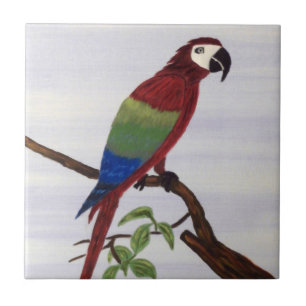 Rainbow Macaw Tile