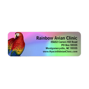 Rainbow Macaw with Colourful Background