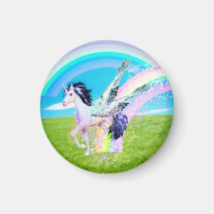 Rainbow Maker Magnet