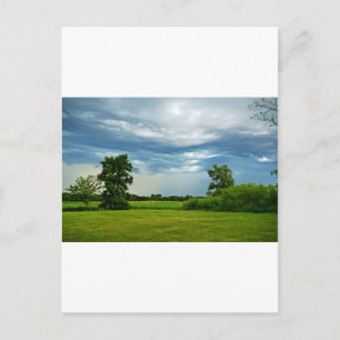 Rainbow Makers Postcard