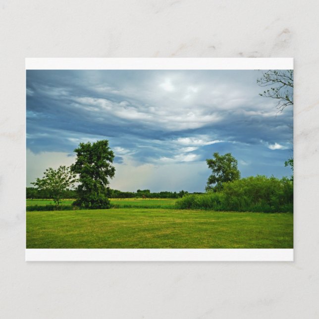 Rainbow Makers Postcard (Front)