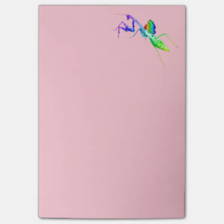 Rainbow Mantis and Toad Post-it Notes