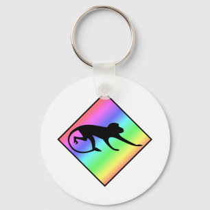 Rainbow Monkey Crossing Key Ring