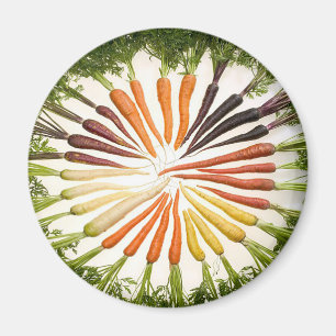 Rainbow Multicolored Carrots Magnet