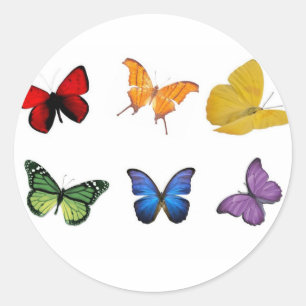Rainbow of Butterflies Classic Round Sticker