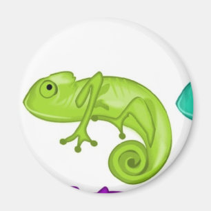 Rainbow of Chameleons Magnet