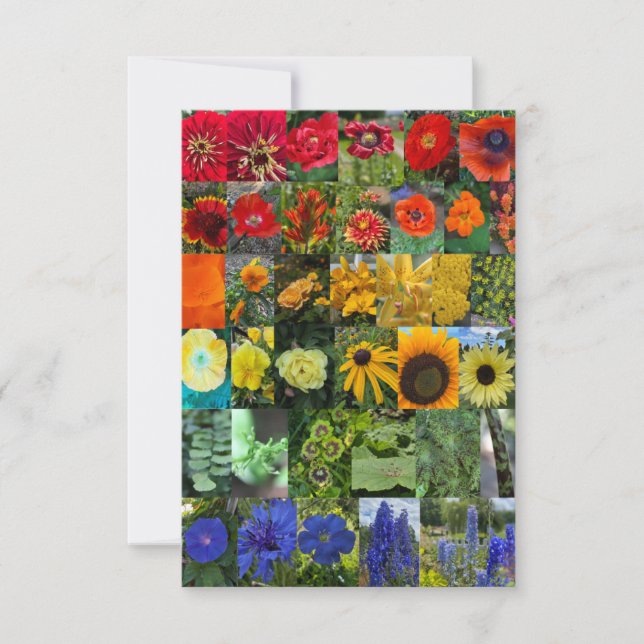 Rainbow of Flowers  Card (Front)