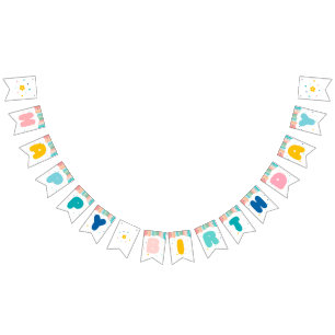 Rainbow of Fun Birthday Party Theme Bunting