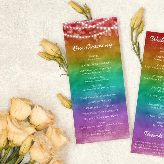 Rainbow Ombre String Lights Details Gay Wedding  (Creator Uploaded)