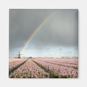 Rainbow over hyacinths and a windmill in Holland Magnet