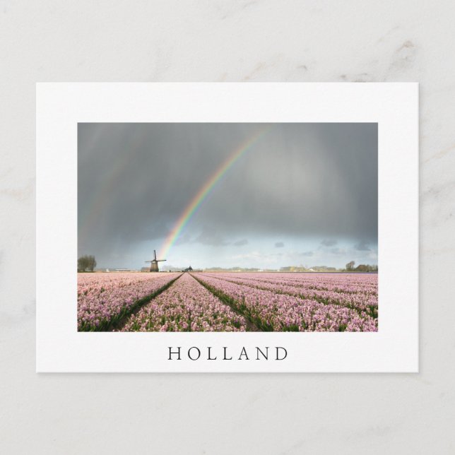 Rainbow over hyacinths and a windmill in Holland Postcard (Front)