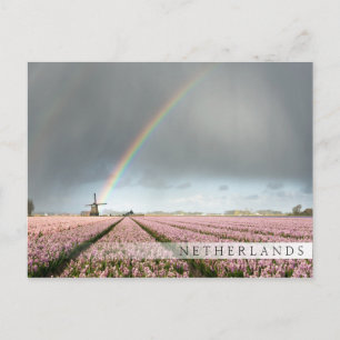 Rainbow over hyacinths and a windmill in Holland Postcard