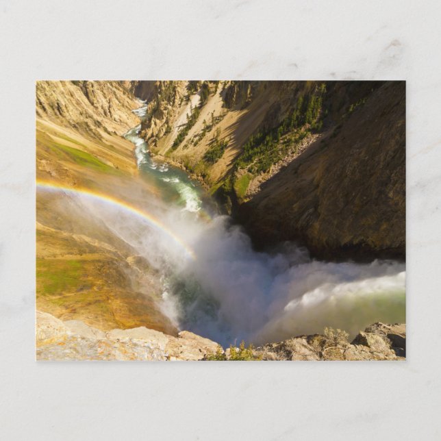 Rainbow over Lower Yellowstone Falls Postcard (Front)