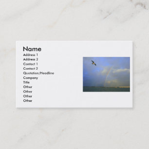 Rainbow over river bridge with seagull photo business card