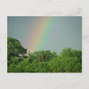 Rainbow Over The Trees Motivational Postcard