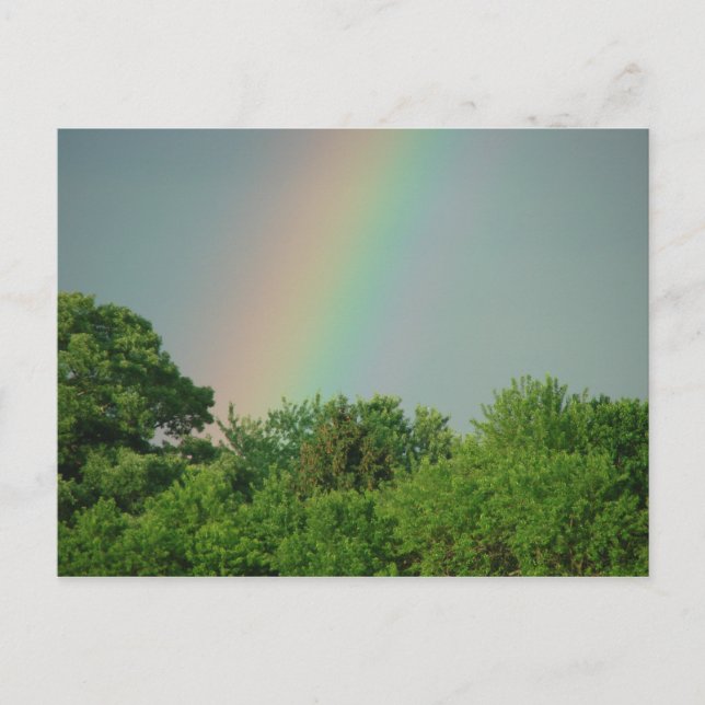 Rainbow Over The Trees Motivational Postcard (Front)
