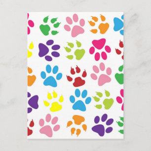 RAINBOW PAW PRINTS POSTCARD