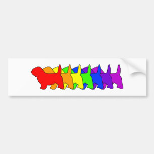 Rainbow PBGV Bumper Sticker