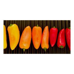 Rainbow Peppers Poster