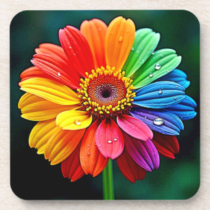 Rainbow Petal Flower Art Coaster