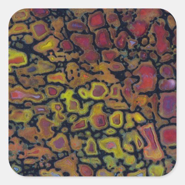 Rainbow Petrified Dinosaur Bone Square Sticker (Front)