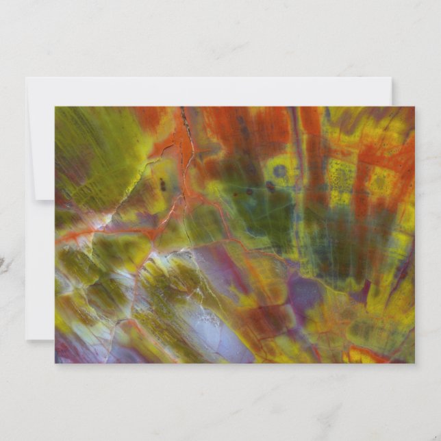 Rainbow Petrified Wood Card (Front)